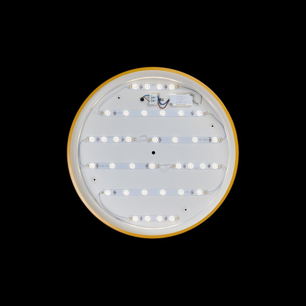 картинка Потолочный светильник светодиодный Axel 10001/36 Yellow от магазина BTSvet