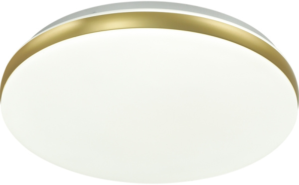 картинка Настенно-потолочный светильник Ringo 7626/DL от магазина BTSvet