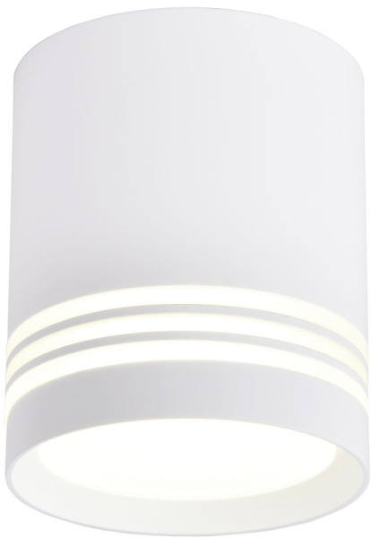 Накладной светильник Darar 3065-1C