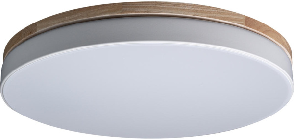 Потолочный светильник светодиодный Axel 10001/36 White