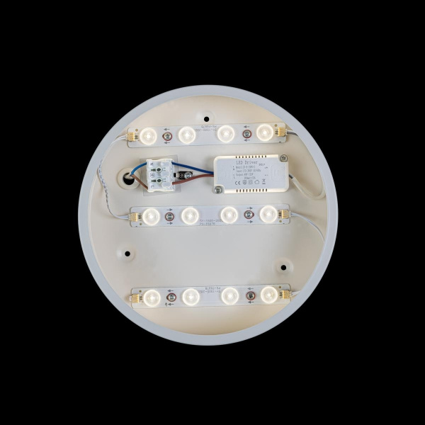 картинка Потолочный светильник светодиодный Axel 10002/12 White от магазина BTSvet