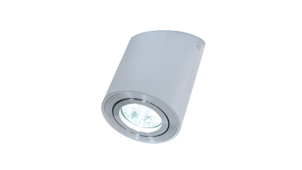 картинка Накладной светильник Alesti  LDC 8060-D JP-D80*H130 SL от магазина BTSvet