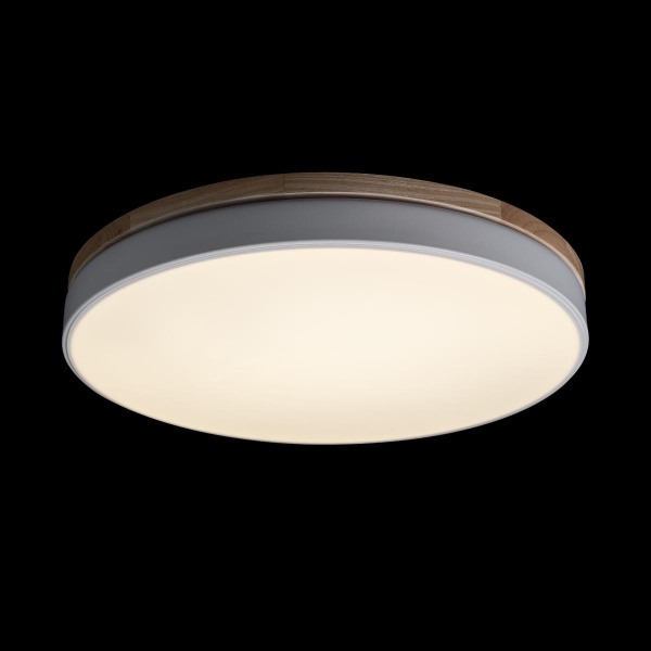 картинка Потолочный светильник светодиодный Axel 10001/36 White от магазина BTSvet