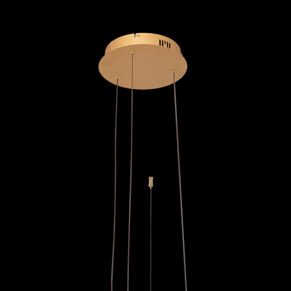 картинка Подвесной светильник светодиодный Ring 10017/3L от магазина BTSvet