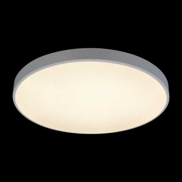 картинка Потолочный светильник светодиодный Axel 10002/48 White от магазина BTSvet