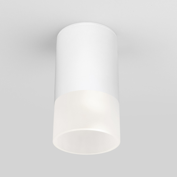 Потолочный светильник уличный светодиодный Light LED 35139/H