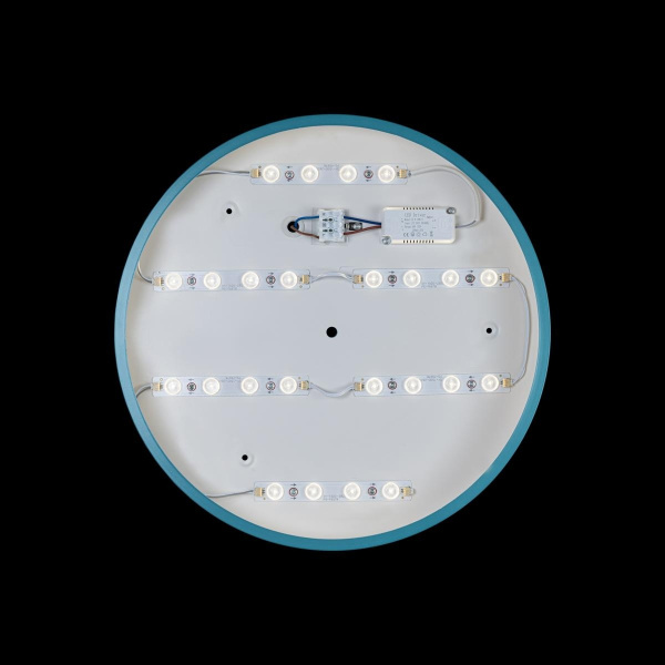 картинка Потолочный светильник светодиодный Axel 10003/24 Blue от магазина BTSvet