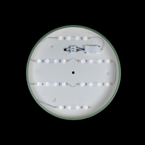 картинка Потолочный светильник светодиодный Axel 10003/24 Green от магазина BTSvet