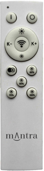 картинка Потолочный светильник Coin 8037 от магазина BTSvet