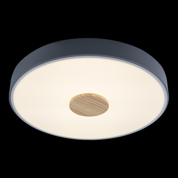 картинка Потолочный светильник светодиодный Axel 10003/24 Grey от магазина BTSvet