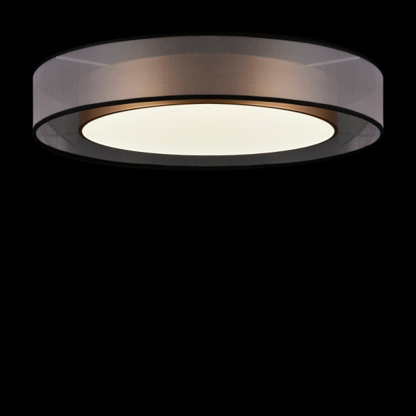 картинка Потолочный светильник светодиодный Zoticus FR6005CL-L48G от магазина BTSvet