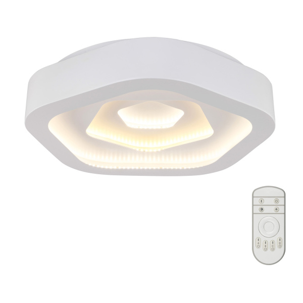 Потолочный светильник светодиодный диммируемый с пультом DLC-N504 62W IRON/WHITE