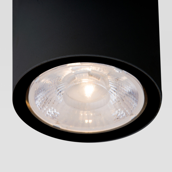 картинка Потолочный светильник уличный светодиодный 35131/H IP65 от магазина BTSvet
