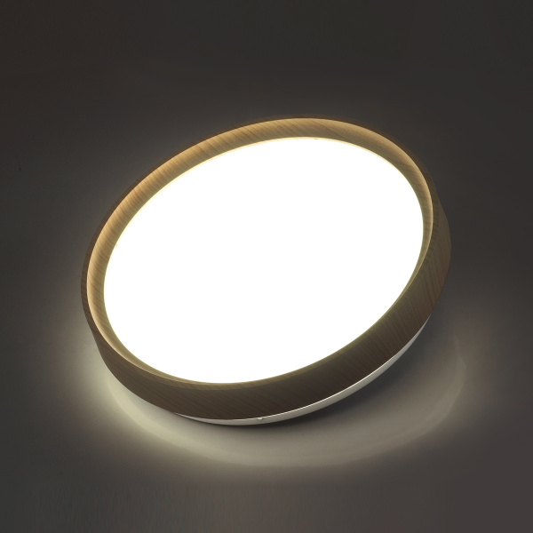картинка Настенно-потолочный светильник Woodi 7603/EL от магазина BTSvet