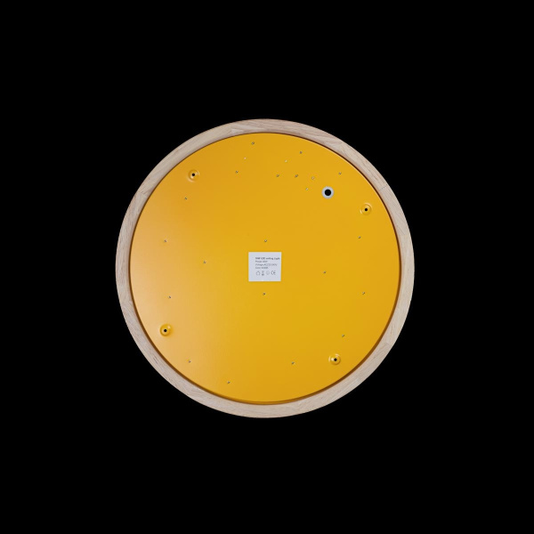 картинка Потолочный светильник светодиодный Axel 10001/36 Yellow от магазина BTSvet