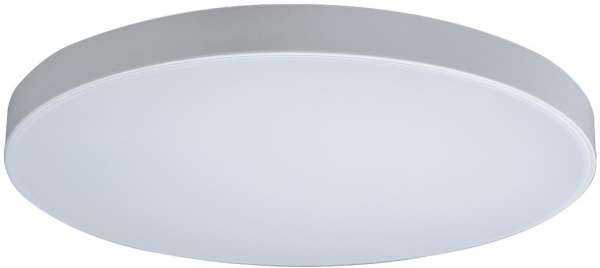 Потолочный светильник светодиодный Axel 10002/48 White