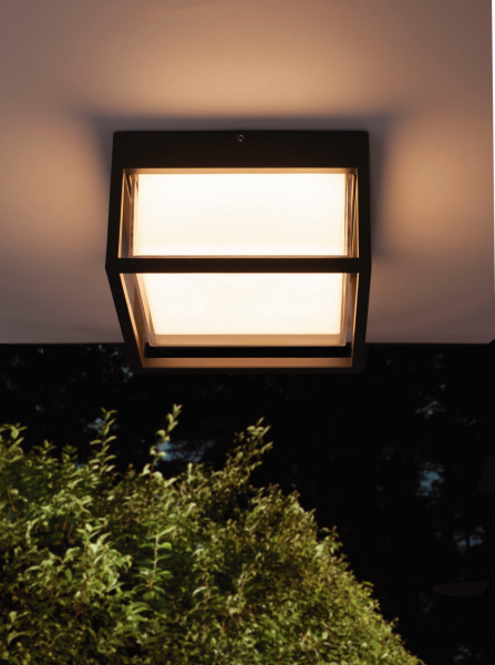 картинка Потолочный светильник уличный светодиодный Chamonix 7060 IP65 от магазина BTSvet