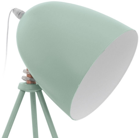 картинка Интерьерная настольная лампа DUNDEE 49337 от магазина BTSvet