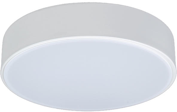 Потолочный светильник светодиодный Axel 10002/12 White