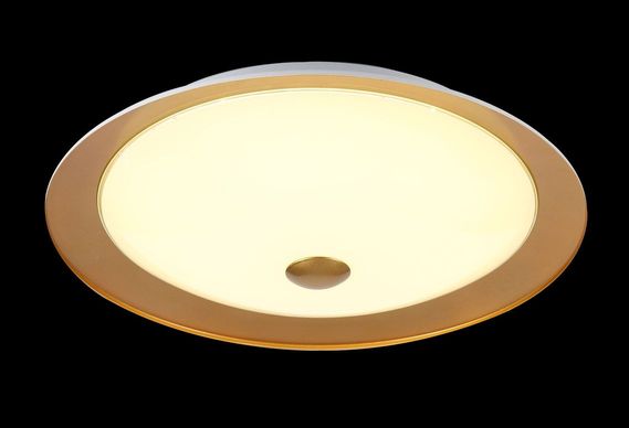 Потолочный светодиодный светильник Euler CL815-PT50-G