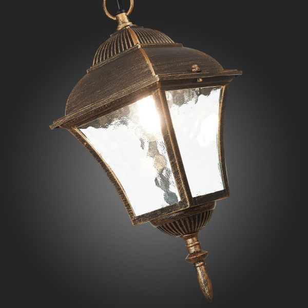 картинка Уличный светильник подвесной Domenico SL082.203.01 IP44 от магазина BTSvet