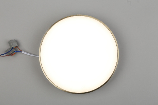 картинка Потолочный светильник светодиодный Evon APL.0114.29.24 от магазина BTSvet