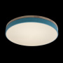 картинка Потолочный светильник светодиодный Axel 10001/36 Blue от магазина BTSvet