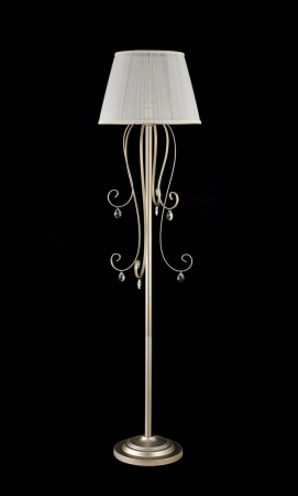 картинка Торшер Simone FR2020-FL-01-BG от магазина BTSvet