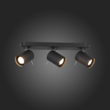 картинка Спот Fanale SL597.401.03 от магазина BTSvet