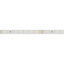картинка Светодиодная лента RTW 2-5000PS-50m 24V White6000 (2835, 80 LED/m, LUX) (Arlight, 6 Вт/м, IP67) 024527 от магазина BTSvet