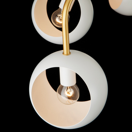 картинка Потолочная люстра Luca 70055/6 от магазина BTSvet