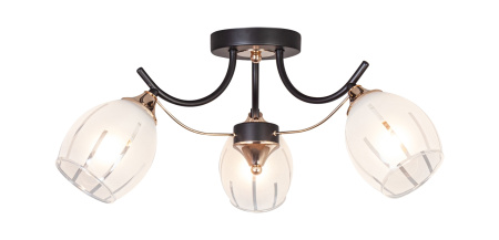 Потолочная люстра Оптима 1104/3P