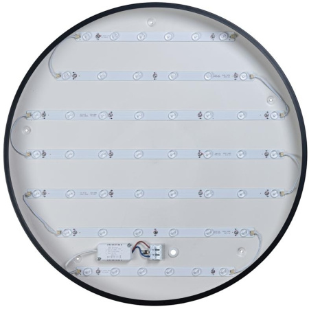 картинка Потолочный светильник светодиодный Axel 10002/48 Black от магазина BTSvet