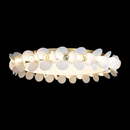 картинка Потолочный светильник Bride 10176 от магазина BTSvet