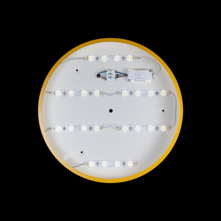 картинка Потолочный светильник светодиодный Axel 10002/24 Yellow от магазина BTSvet