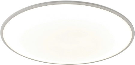 Потолочный светильник Slim 7976