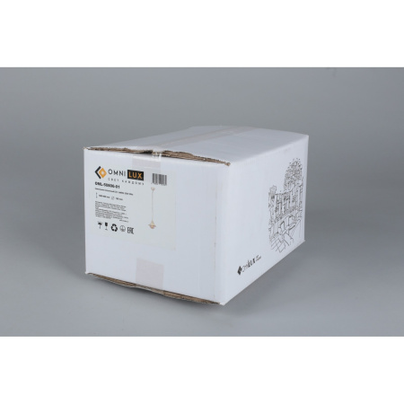 картинка Подвесной светильник Torri OML-50806-01 от магазина BTSvet