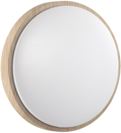 картинка Настенно-потолочный светильник Losta 7607/EL от магазина BTSvet