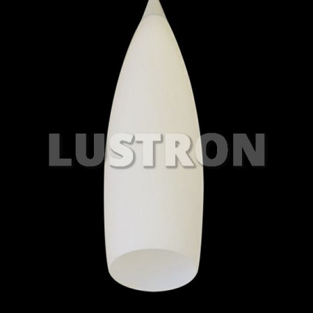 картинка Подвесной светильник SIMPLE LIGHT 804010 от магазина BTSvet