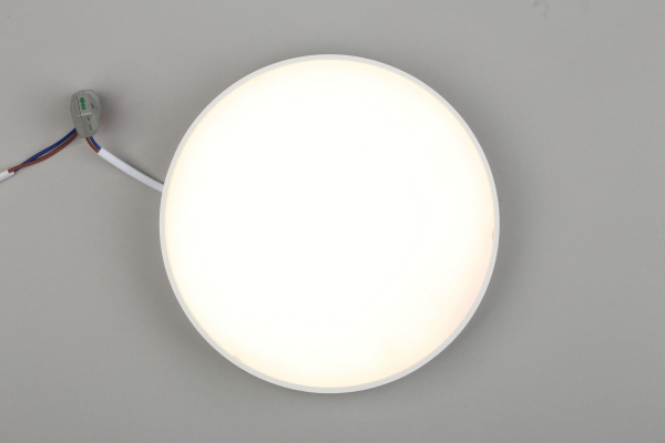 картинка Потолочный светильник светодиодный Evon APL.0113.09.24 от магазина BTSvet