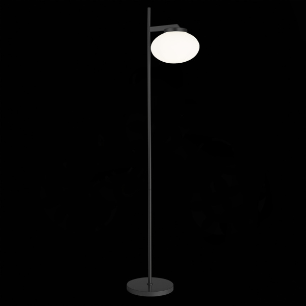 картинка Торшер ST Luce Modica SL1503.405.01 от магазина BTSvet