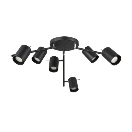 картинка Потолочная люстра светодиодная Fanale SL597.402.06 от магазина BTSvet