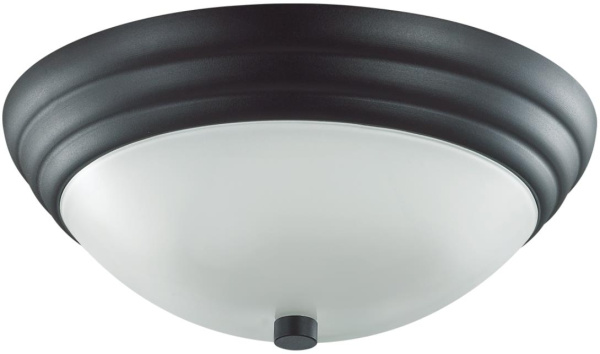 Настенно-потолочный светильник Kayla 5263/2C черный E27 2*60W