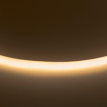 Светодиодная лента Neoled 430202