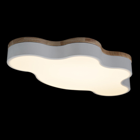 картинка Потолочный светильник светодиодный для детской Axel 10005/36 White от магазина BTSvet