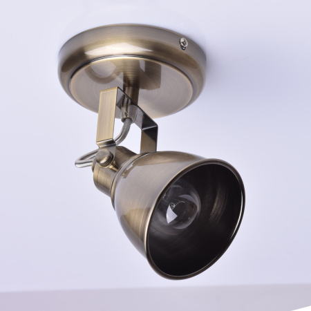 картинка Спот Ringen 547020101 от магазина BTSvet