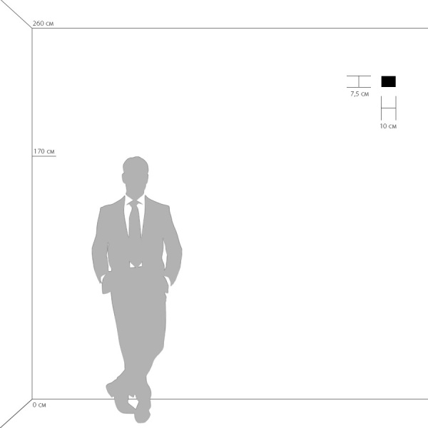 картинка Настенный светильник SIMPLE LIGHT 801610 от магазина BTSvet