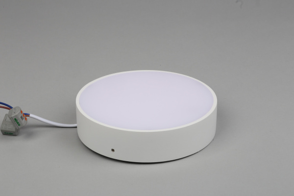 картинка Потолочный светильник светодиодный Evon APL.0114.09.18 от магазина BTSvet