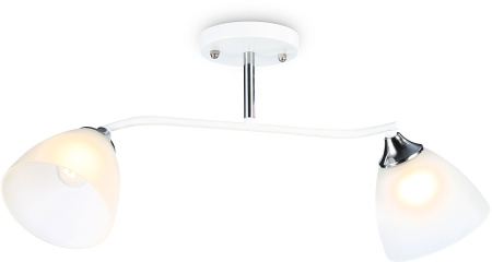 Потолочная люстра на штанге TRADITIONAL TR303001