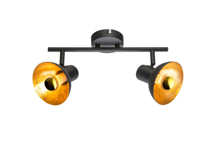 Спот Lotte 54001-2